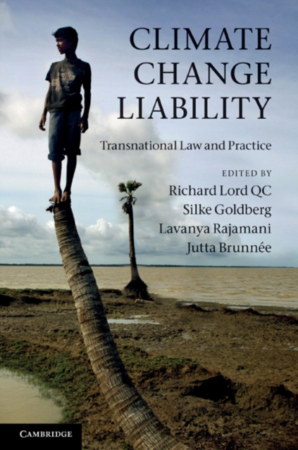 Climate Change Liability : Transnational Law and Practice, PDF eBook