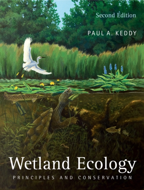 Wetland Ecology : Principles and Conservation, PDF eBook