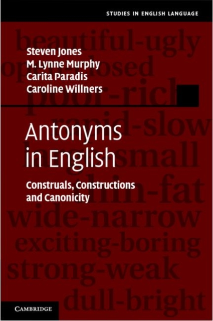 Antonyms in English : Construals, Constructions and Canonicity, PDF eBook