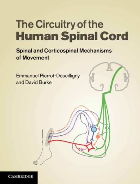 Circuitry of the Human Spinal Cord : Spinal and Corticospinal Mechanisms of Movement, PDF eBook