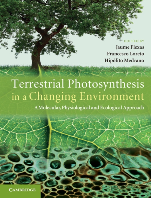 Terrestrial Photosynthesis in a Changing Environment : A Molecular, Physiological, and Ecological Approach, PDF eBook