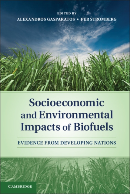 Socioeconomic and Environmental Impacts of Biofuels : Evidence from Developing Nations, PDF eBook