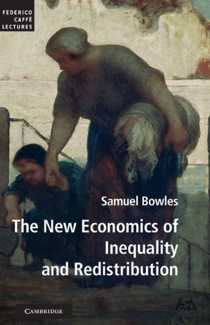 New Economics of Inequality and Redistribution, EPUB eBook