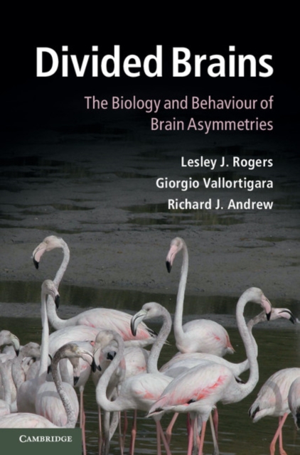 Divided Brains : The Biology and Behaviour of Brain Asymmetries, PDF eBook