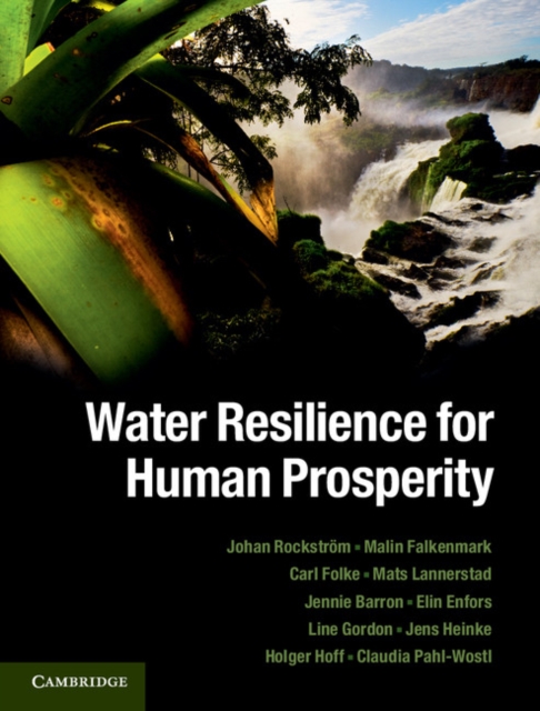 Water Resilience for Human Prosperity, PDF eBook
