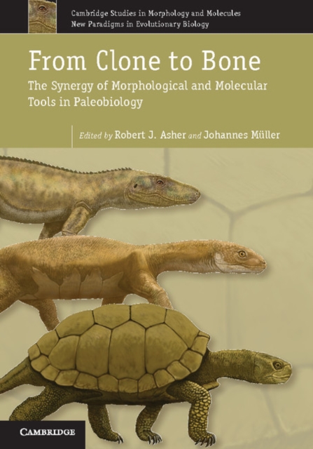 From Clone to Bone : The Synergy of Morphological and Molecular Tools in Palaeobiology, EPUB eBook