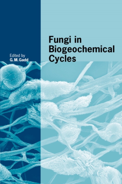 Fungi in Biogeochemical Cycles, EPUB eBook
