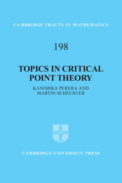 Topics in Critical Point Theory, EPUB eBook