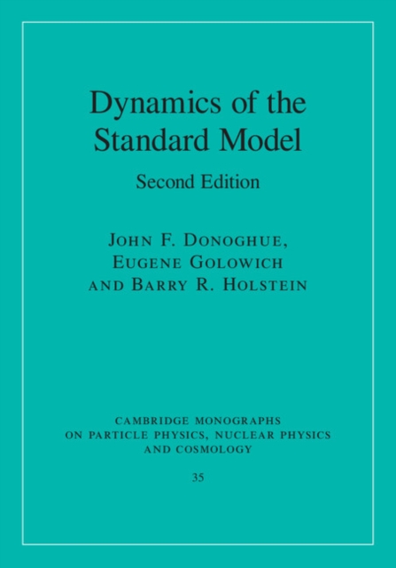 Dynamics of the Standard Model, PDF eBook