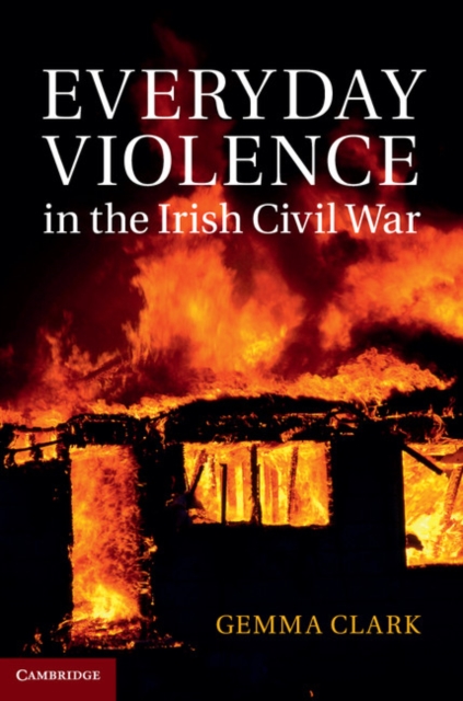 Everyday Violence in the Irish Civil War, PDF eBook