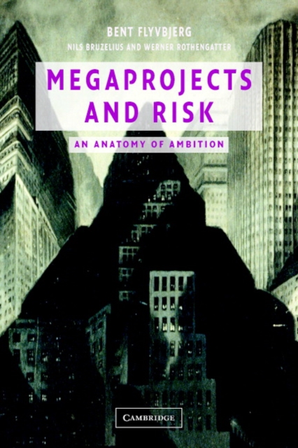 Megaprojects and Risk : An Anatomy of Ambition, PDF eBook