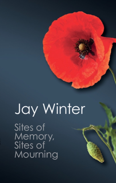 Sites of Memory, Sites of Mourning : The Great War in European Cultural History, PDF eBook