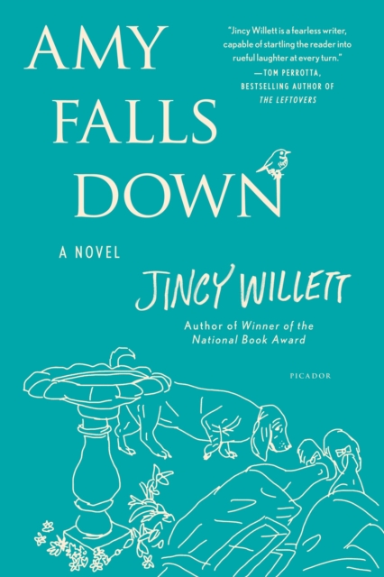 Amy Falls Down, Paperback / softback Book