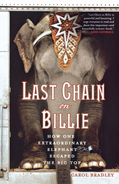 Last Chain on Billie, Paperback / softback Book