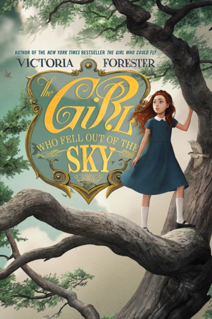The Girl Who Fell out of the Sky, Hardback Book