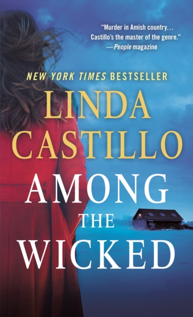 Among the Wicked : A Kate Burkholder Novel, Paperback / softback Book