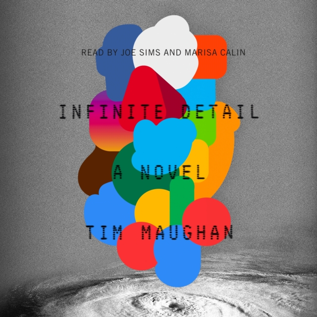 Infinite Detail : A Novel, eAudiobook MP3 eaudioBook