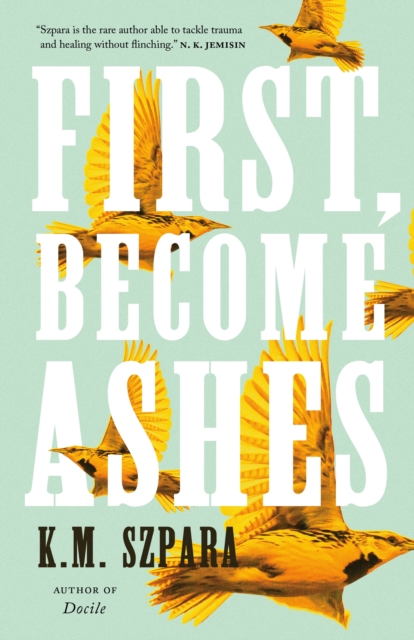 First, Become Ashes, Hardback Book