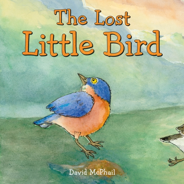 The Lost Little Bird, Hardback Book