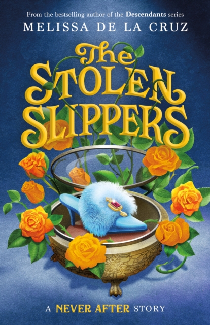 Never After: The Stolen Slippers, Hardback Book