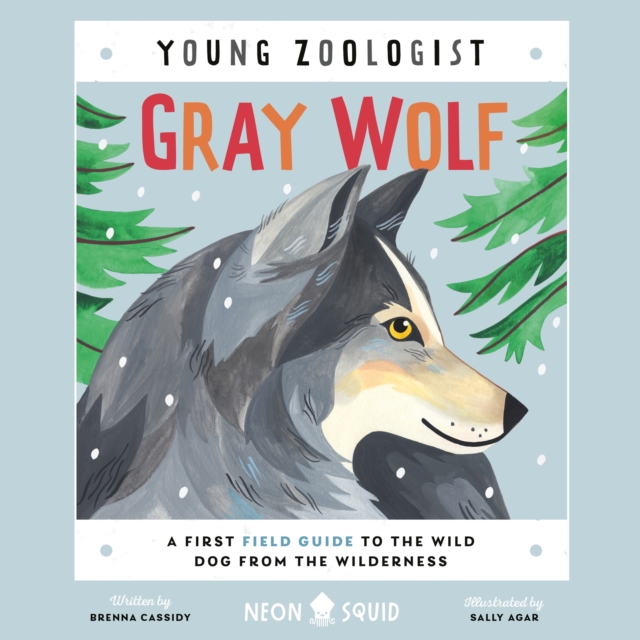 Gray Wolf (Young Zoologist) : A First Field Guide to the Wild Dog from the Wilderness, eAudiobook MP3 eaudioBook