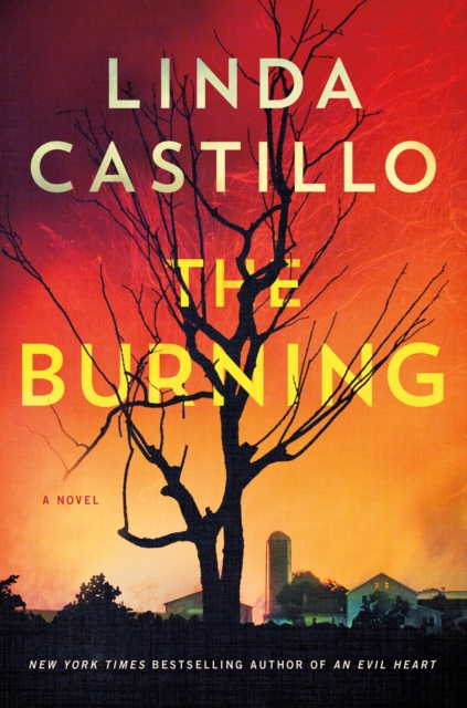 The Burning : A Novel, Paperback / softback Book