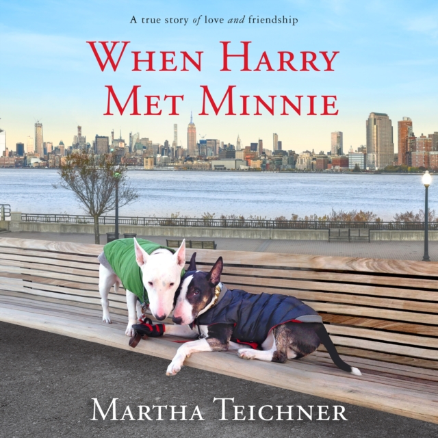 When Harry Met Minnie : A True Story of Love and Friendship, eAudiobook MP3 eaudioBook