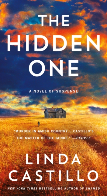 The Hidden One : A Novel of Suspense, Paperback / softback Book
