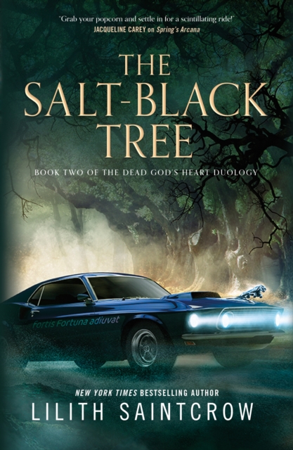 The Salt-Black Tree : Book Two of the Dead God's Heart Duology, Paperback / softback Book