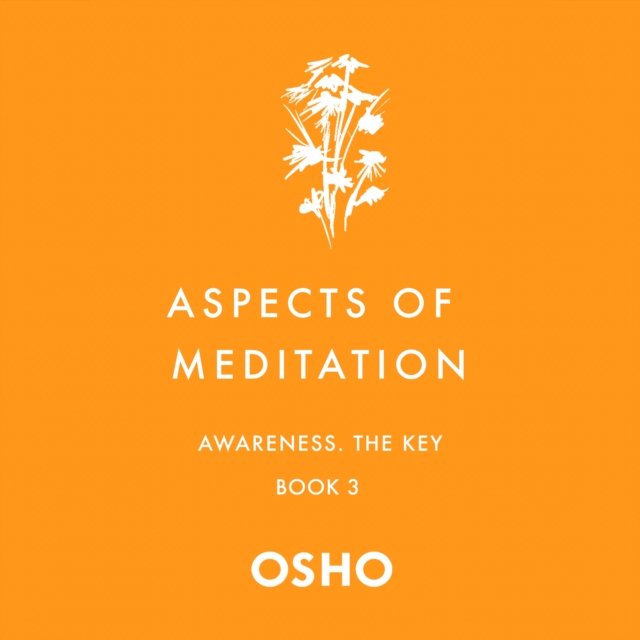 Aspects of Meditation Book 3 : Awareness, the Key, eAudiobook MP3 eaudioBook