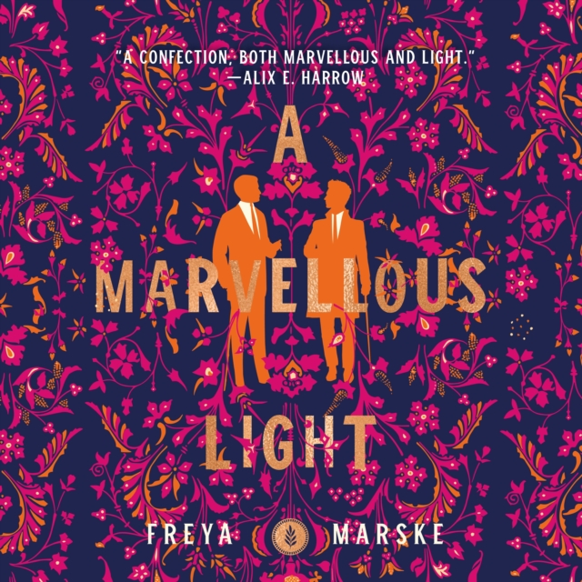 A Marvellous Light, eAudiobook MP3 eaudioBook