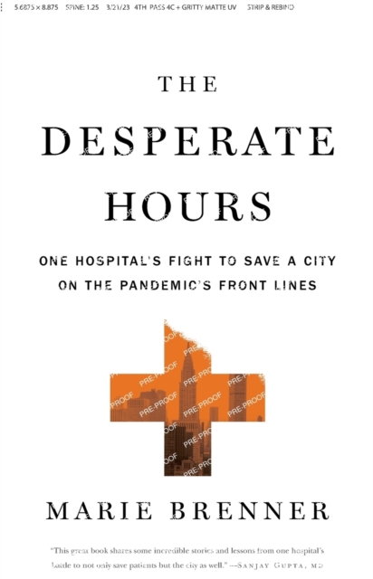 The Desperate Hours : One Hospital's Fight to Save a City on the Pandemic's Front Lines, Paperback / softback Book