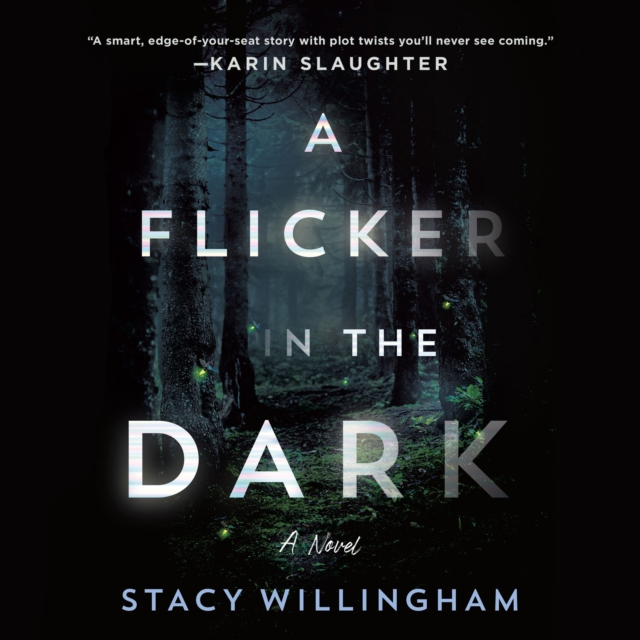 A Flicker in the Dark : A Novel, eAudiobook MP3 eaudioBook