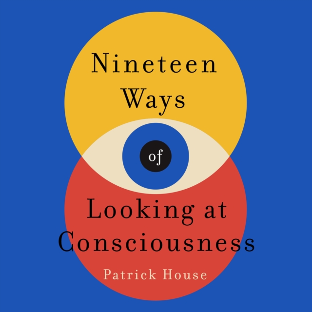 Nineteen Ways of Looking at Consciousness, eAudiobook MP3 eaudioBook