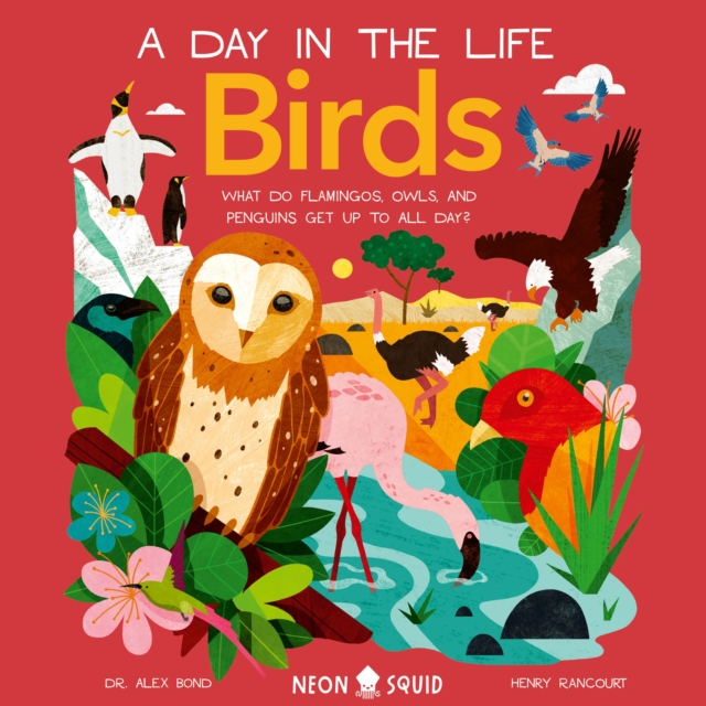Birds (A Day in the Life) : What Do Flamingos, Owls, and Penguins Get Up To All Day?, eAudiobook MP3 eaudioBook