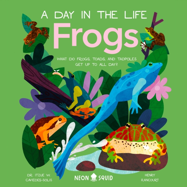Frogs (A Day in the Life) : What Do Frogs, Toads, and Tadpoles Get Up to All Day?, eAudiobook MP3 eaudioBook