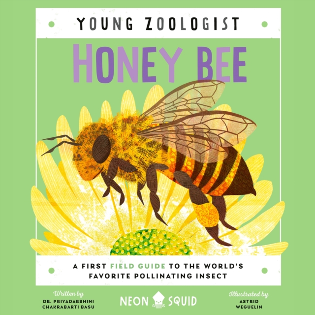 Honey Bee (Young Zoologist) : A First Field Guide to the World's Favorite Pollinating Insect, eAudiobook MP3 eaudioBook
