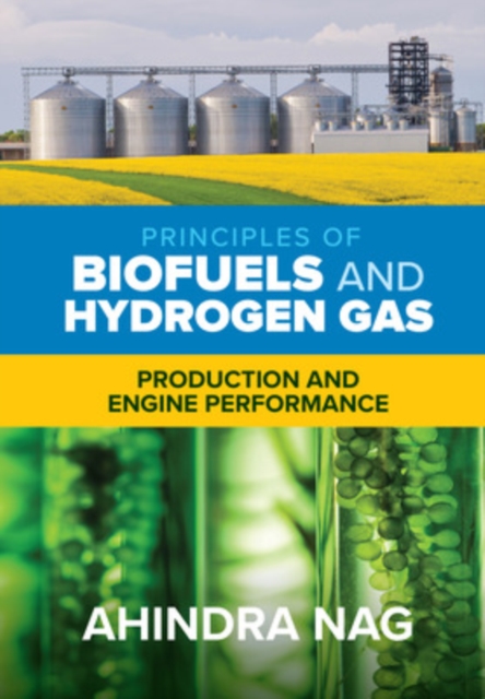 Principles of Biofuels and Hydrogen Gas: Production and Engine Performance, EPUB eBook