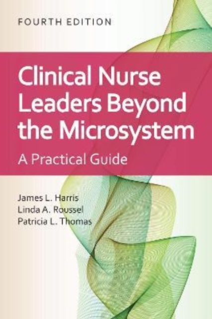 Clinical Nurse Leaders Beyond the Microsystem : A Practical Guide, Paperback / softback Book