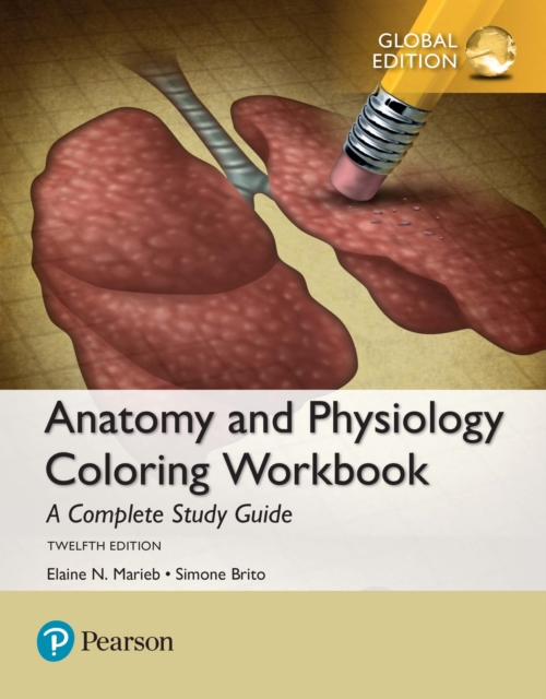 Anatomy and Physiology Coloring Workbook: A Complete Study Guide, Global Edition, PDF eBook
