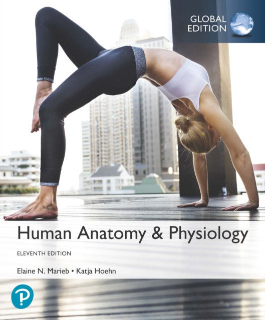 Human Anatomy & Physiology, Global Edition, PDF eBook