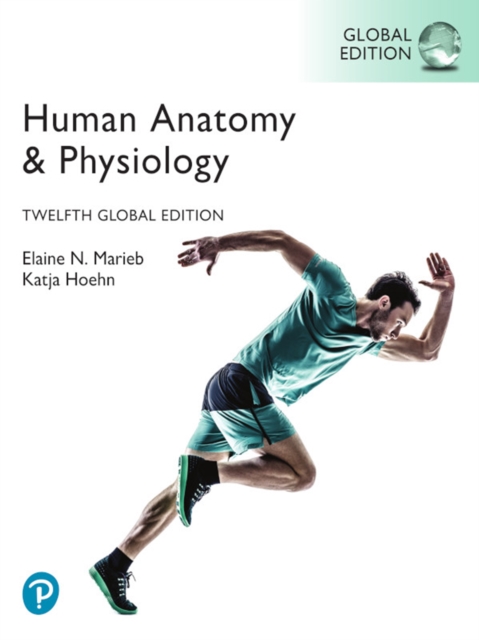 Human Anatomy & Physiology, Global Edition, PDF eBook