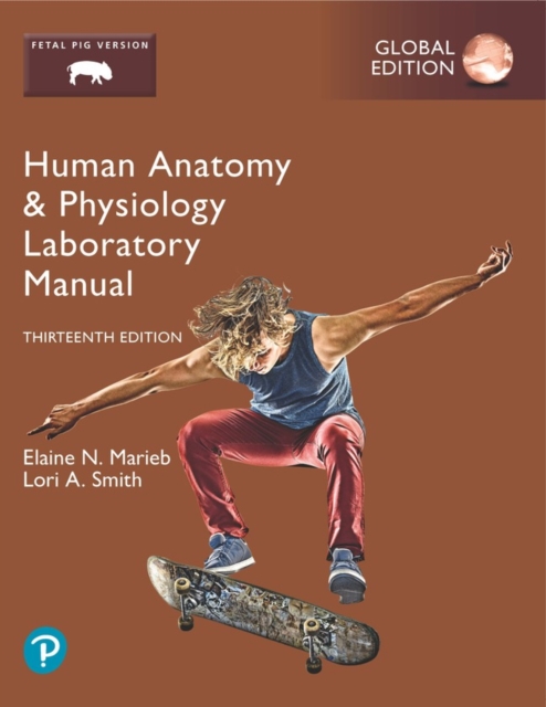 Human Anatomy & Physiology Laboratory Manual, Fetal Pig Version, Global Edition, Paperback / softback Book