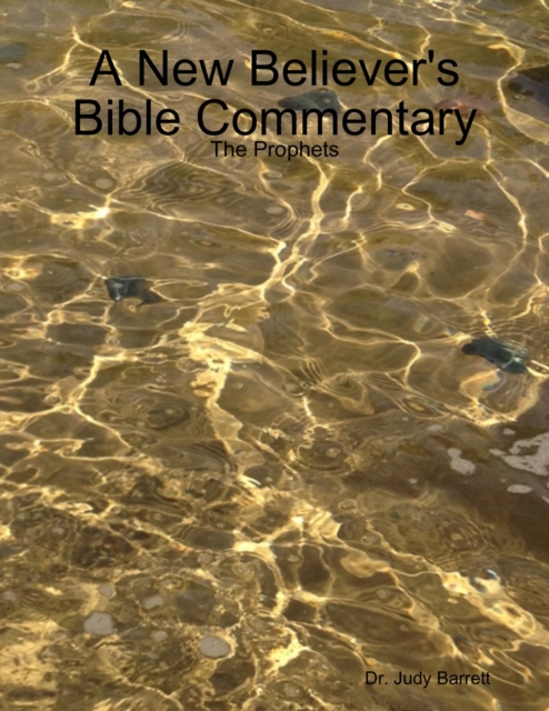 A New Believer's Bible Commentary: The Prophets, EPUB eBook