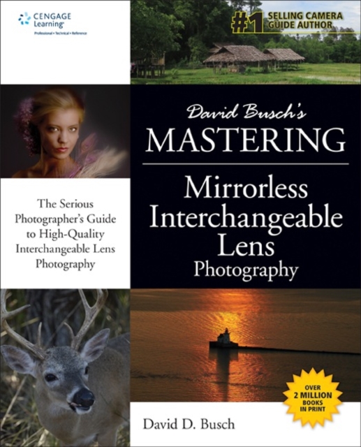 David Buschs Mastering Mirrorless Interchangeable Lens Photography, Paperback Book