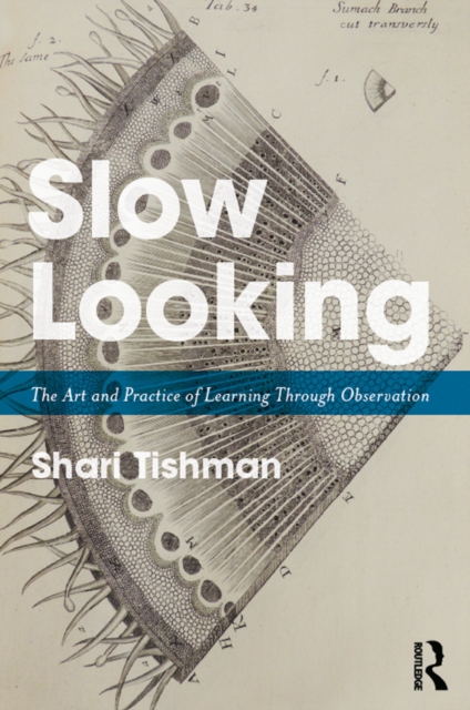 Slow Looking : The Art and Practice of Learning Through Observation, PDF eBook