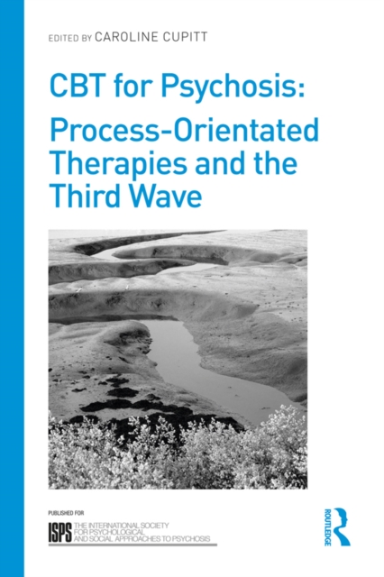 CBT for Psychosis : Process-orientated Therapies and the Third Wave, EPUB eBook