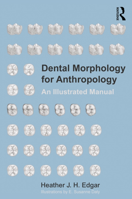 Dental Morphology for Anthropology : An Illustrated Manual, EPUB eBook