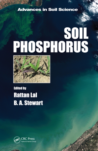 Soil Phosphorus, EPUB eBook