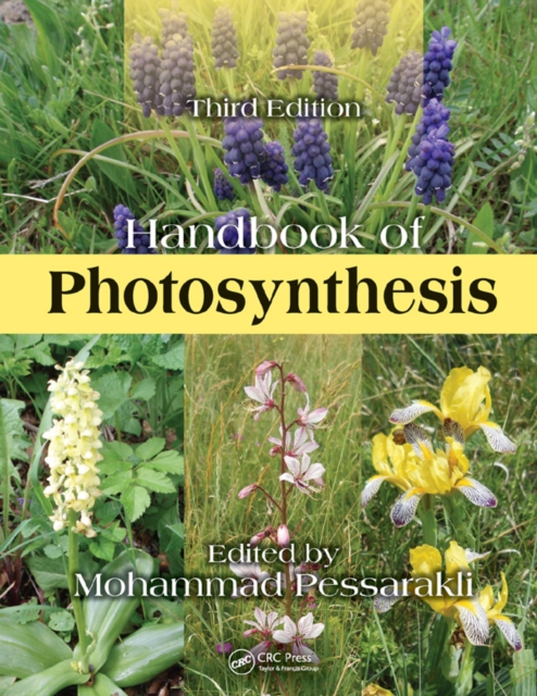 Handbook of Photosynthesis, PDF eBook